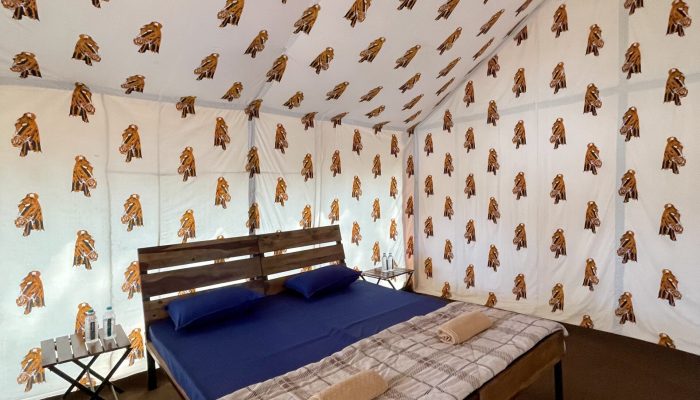 indore to indore Accommodations (10)