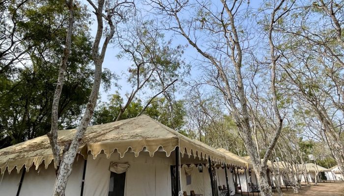 indore to indore Accommodations (13)