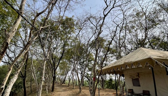 indore to indore Accommodations (14)