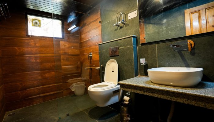 old manali stays (7)